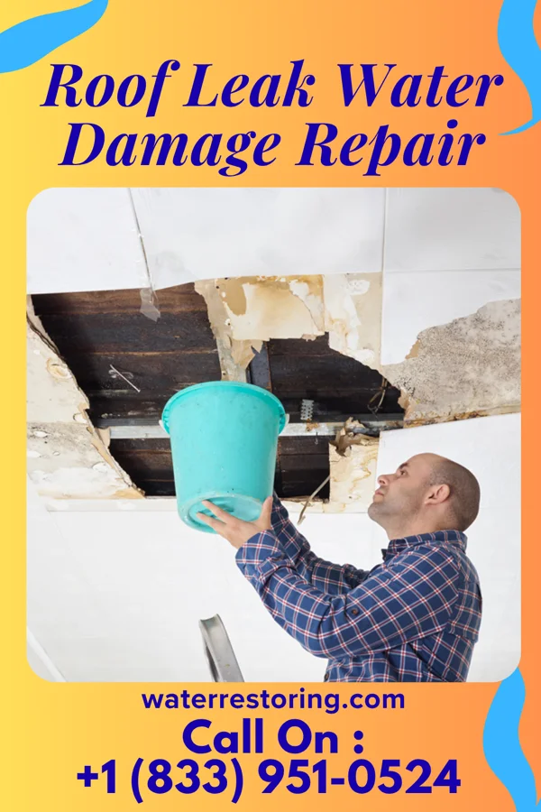 Roof Leak Water Damage Repair in Park Falls, WI